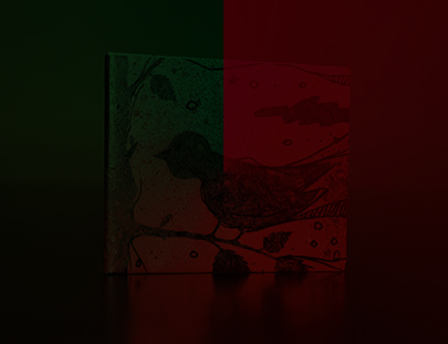 骚扰电话呼叫软件